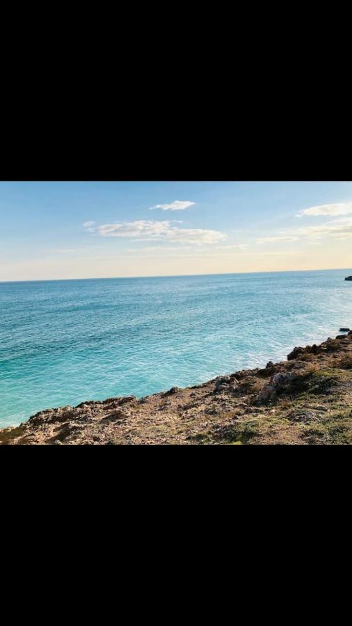 Grand Studio Bord De Mer Plus Piscine Сет Екстериор снимка